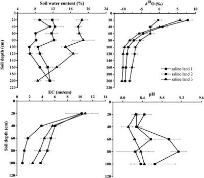 Water Uptake from Different Soil Depths for Desert Plants in Saline Lands of Dunhuang, NW China